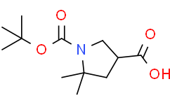1-(叔丁氧羰基)-5,5-二甲基吡咯烷-3-羧酸