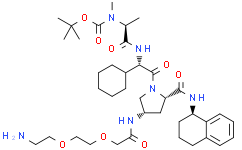 410099.1 酰胺-PEG2-胺