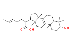 栓菌酸，3beta-羥基羊毛甾-8,24-二烯-21-酸