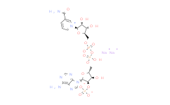 氧化型辅酶II（二钠盐）/NADP.2Na
