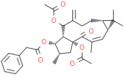 脱氧大戟因子L1