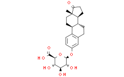 雌酮-3-葡糖苷酸