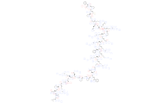 Apelin 36 (human)三氟乙酸盐