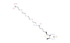 14-氧代-18-((3aS,4S,6aR)-2-氧代六氢-1H-噻吩并[3,4-d]咪唑-4-基)-4,7,10-三氧杂-13-氮杂十八烷-1-酸