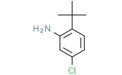 2-(叔丁基)-5-氯苯胺