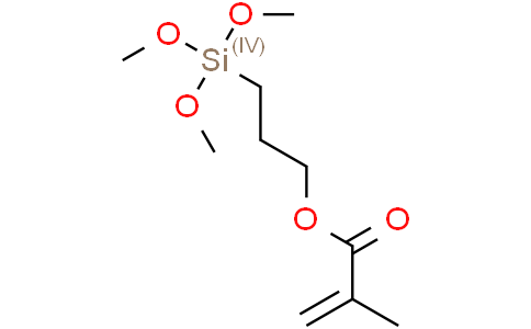 親和硅烷（Binding Silane Solution）