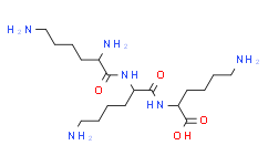 多聚-L-賴氨酸氫溴酸鹽