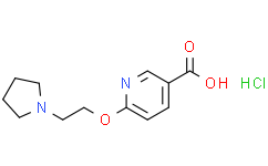 6-(2-(吡咯烷-1-基)乙氧基)烟酸盐酸盐