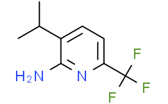 3-异丙基-6-(三氟甲基)吡啶-2-胺