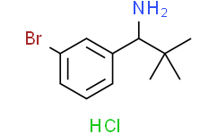 1-(3-溴苯基)-2,2-二甲基丙-1-胺盐酸盐