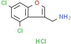 (4,6-二氯苯并呋喃-3-基)甲胺盐酸盐