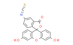 荧光素5(6)-异硫氰酸酯