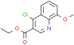 4-氯-8-甲氧基喹啉-3-甲酸乙酯