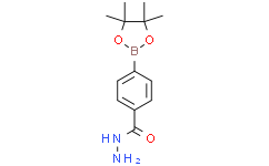 4-(Hydrazinecarbonyl)phenylboronic acid pinacol ester