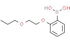 (2-(2-丙氧基乙氧基)苯基)硼酸