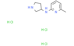 6-甲基-N-(吡咯烷-3-基)吡啶-2-胺 三盐酸盐