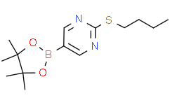 2-(丁硫基)-5-(4,4,5,5-四甲基-1,3,2-二氧硼杂环戊烷-2-基)嘧啶