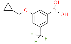 (3-(环丙基甲氧基)-5-(三氟甲基)苯基)硼酸