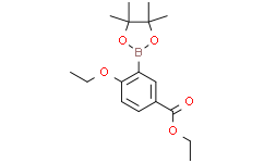 4-乙氧基-3-(4,4,5,5-四甲基-1,3,2-二氧硼杂环戊烷-2-基)苯甲酸乙酯