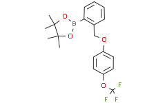 4,4,5,5-四甲基-2-(2-((4-(三氟甲氧基)苯氧基)甲基)苯基)-1,3,2-二氧硼杂环戊烷
