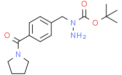 1-(4-(吡咯烷-1-羰基)苄基)肼甲酸叔丁酯