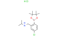 N-(5-氯-2-(4,4,5,5-四甲基-1,3,2-二氧硼杂环戊烷-2-基)苄基)丙-2-胺盐酸盐