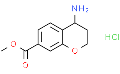 4-氨基苯并二氢吡喃-7-甲酸甲酯 盐酸盐