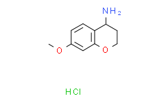 7-甲氧基苯并二氢吡喃-4-胺盐酸盐