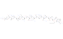 des-Gln14-Ghrelin (大鼠) TFA