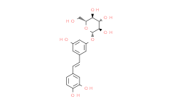 白皮杉醇葡萄糖苷