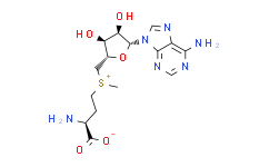 S-腺苷-L-蛋氨酸