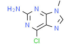 6-氯-9-甲基-9H-嘌呤-2-胺
