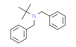 N,N-二苄基-2-甲基丙-2-胺