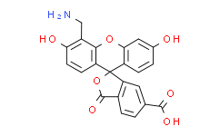 4'-氨甲基-6-羧基荧光素盐酸盐