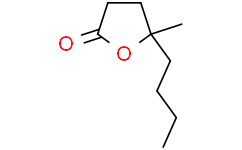 5-丁基-5-甲基二氢呋喃-2(3H)-酮