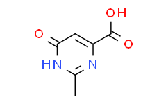 6-羟基-2-甲基-嘧啶-4-羧酸