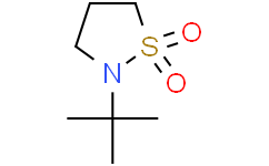 N-t-Butyl-1,3-propanesultam