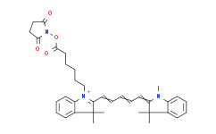 脂溶CY5(甲基）琥珀酰亚胺酯