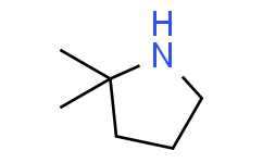 2,2-二甲基吡咯烷