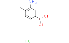 3-氨基-4-甲基苯基硼酸 盐酸盐