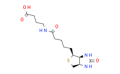 4-(5-((3aS,4S,6aR)-2-氧代六氢-1H-噻吩并[3,4-d]咪唑-4-基)戊酰胺基)丁酸
