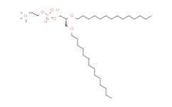 1,2-十四烷基卵磷脂