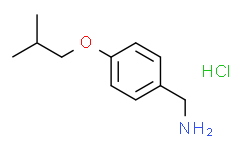 (4-异丁氧基苯基)甲胺盐酸盐
