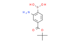 4-(Boc-氨基)苯硼酸