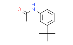 N-(3-(叔丁基)苯基)乙酰胺