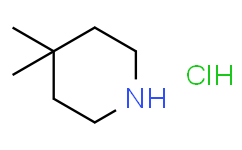 4,4-二甲基哌啶盐酸盐