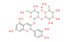 矢车菊-3-O-槐糖苷氯化物