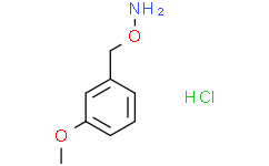 3-甲氧基苄氧胺盐酸盐