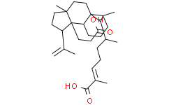 黑五味子酸