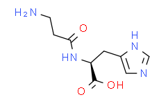 β-丙氨酰基-L-组氨酸